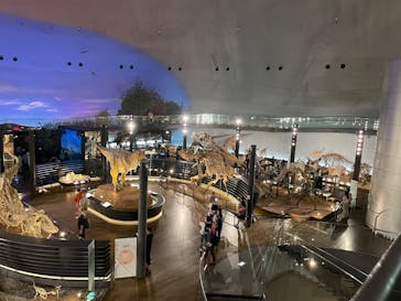 福井県立恐竜博物館に投稿された画像（2025/9/17）