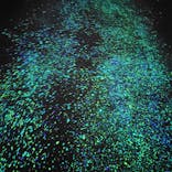 梅田スカイビル・空中庭園展望台に投稿された画像（2025/9/17）