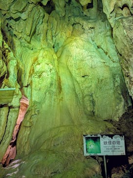 あぶくま洞に投稿された画像（2025/9/17）