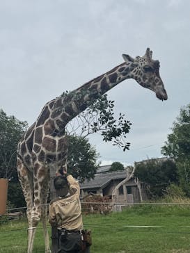 天王寺動物園に投稿された画像（2025/9/17）