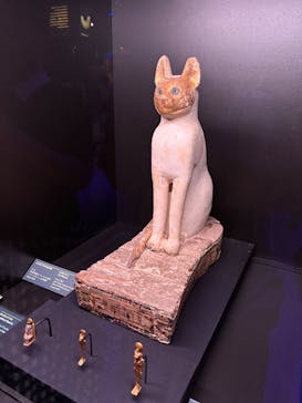 ACN ラムセス大王展 ファラオたちの黄金に投稿された画像（2025/9/17）