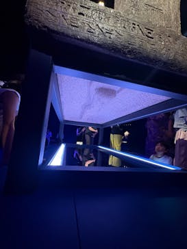 ACN ラムセス大王展 ファラオたちの黄金に投稿された画像（2025/9/17）