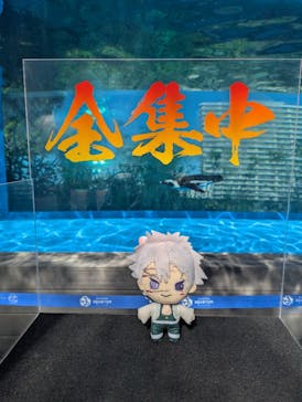 サンシャイン水族館に投稿された画像（2025/9/17）