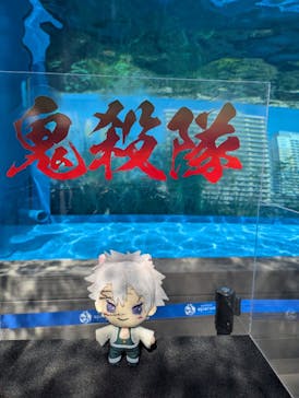 サンシャイン水族館に投稿された画像（2025/9/17）