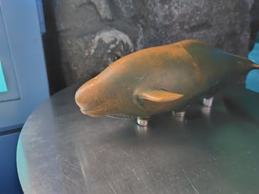 名古屋港水族館に投稿された画像（2025/9/17）