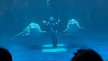 島根県立 しまね海洋館に投稿された画像（2025/9/17）