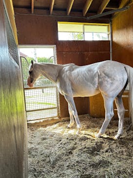 ノーザンホースパークに投稿された画像（2025/9/18）