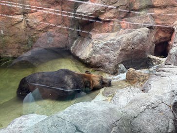 恩賜上野動物園に投稿された画像（2025/9/18）