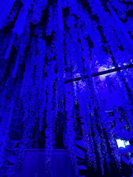 動き出す妖怪展 NAGOYA 〜Imagination of Japan〜に投稿された画像（2025/9/18）