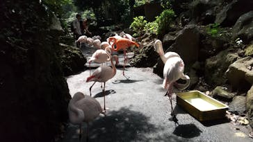 伊豆シャボテン動物公園に投稿された画像（2025/9/18）