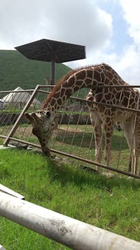 伊豆シャボテン動物公園に投稿された画像（2025/9/18）
