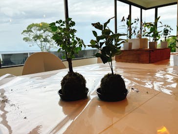 ACAO FORESTに投稿された画像（2025/9/18）