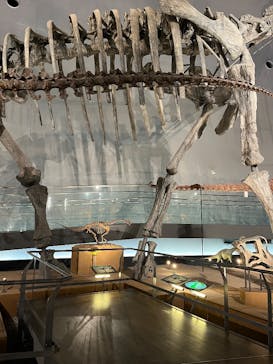 福井県立恐竜博物館に投稿された画像（2025/9/18）