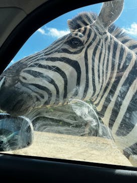 東北サファリパークに投稿された画像（2025/9/18）