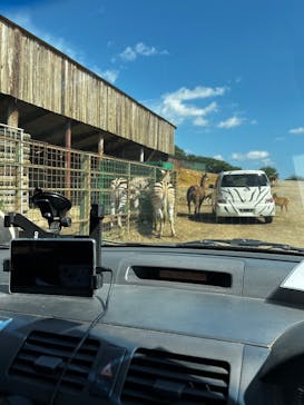 東北サファリパークに投稿された画像（2025/9/18）