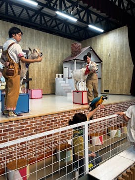 東北サファリパークに投稿された画像（2025/9/18）