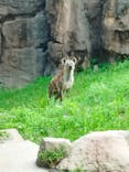 天王寺動物園に投稿された画像（2025/9/18）