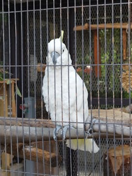 天王寺動物園に投稿された画像（2025/9/18）