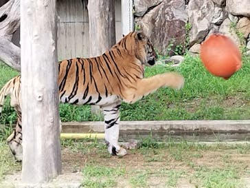 天王寺動物園に投稿された画像（2025/9/18）