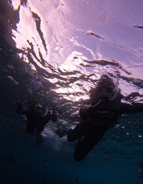 武藤潜水に投稿された画像（2025/9/18）