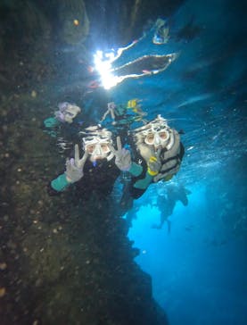 武藤潜水に投稿された画像（2025/9/18）
