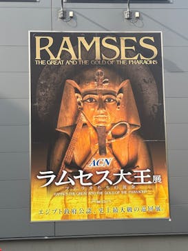 ACN ラムセス大王展 ファラオたちの黄金に投稿された画像（2025/9/18）