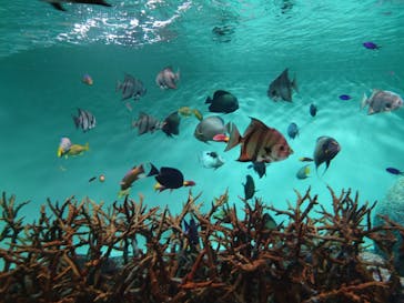 葛西臨海水族園に投稿された画像（2025/9/18）