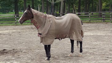 ノーザンホースパークに投稿された画像（2025/9/18）