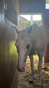 ノーザンホースパークに投稿された画像（2025/9/18）