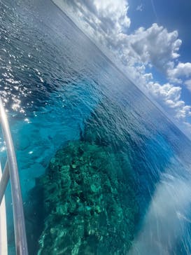 M.a.r.i.n.e Factoryに投稿された画像（2025/9/18）