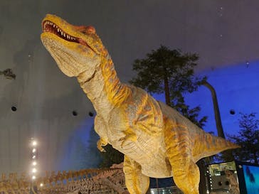 福井県立恐竜博物館に投稿された画像（2025/9/18）