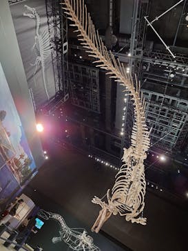 福井県立恐竜博物館に投稿された画像（2025/9/18）