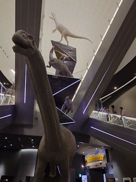 福井県立恐竜博物館に投稿された画像（2025/9/18）