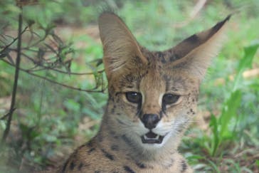 多摩動物公園に投稿された画像（2025/9/18）