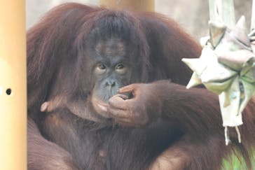 多摩動物公園に投稿された画像（2025/9/18）