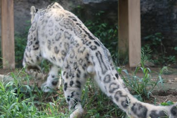 多摩動物公園に投稿された画像（2025/9/18）