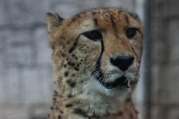 多摩動物公園に投稿された画像（2025/9/18）