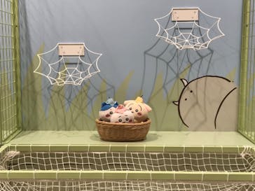 ちいかわパークに投稿された画像（2025/9/18）