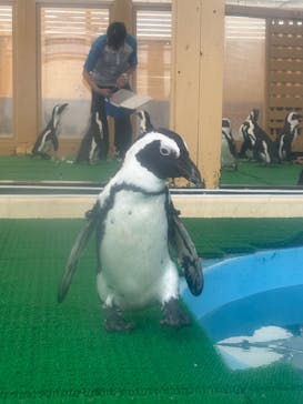 名古屋港水族館に投稿された画像（2025/9/18）