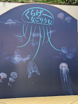 名古屋港水族館に投稿された画像（2025/9/18）