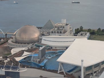 名古屋港水族館に投稿された画像（2025/9/18）