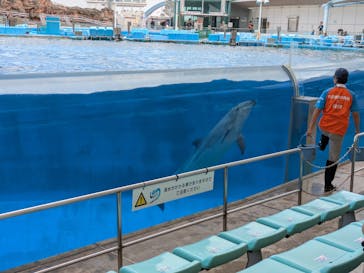 名古屋港水族館に投稿された画像（2025/9/18）