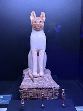 ACN ラムセス大王展 ファラオたちの黄金に投稿された画像（2025/9/19）