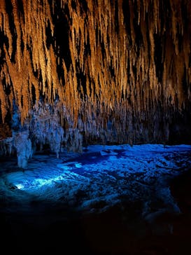 おきなわワールドに投稿された画像（2025/9/19）