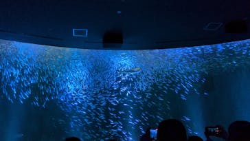 名古屋港水族館に投稿された画像（2025/9/19）