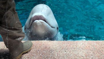 名古屋港水族館に投稿された画像（2025/9/19）