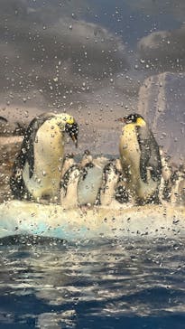 名古屋港水族館に投稿された画像（2025/9/19）