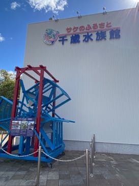 サケのふるさと 千歳水族館に投稿された画像（2025/9/19）