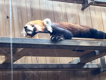 名古屋市東山動植物園に投稿された画像（2025/9/19）