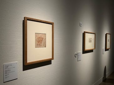 スウェーデン国立美術館　素描コレクション展―ルネサンスからバロックまでに投稿された画像（2025/9/19）